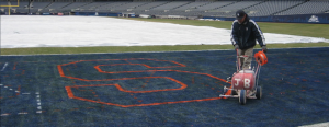 Yankee Stadium Pinstripe